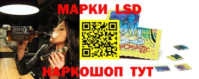 apvp Кингисепп