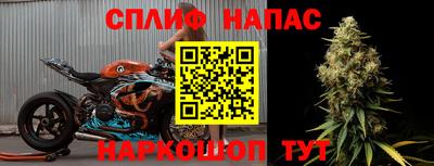 apvp Кингисепп