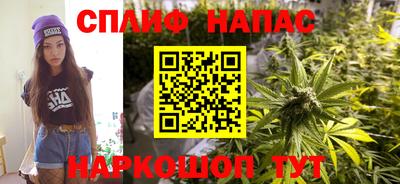 apvp Кингисепп