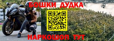 apvp Кингисепп